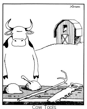 “Cow tools”, a Far side comic by Gary Larson.